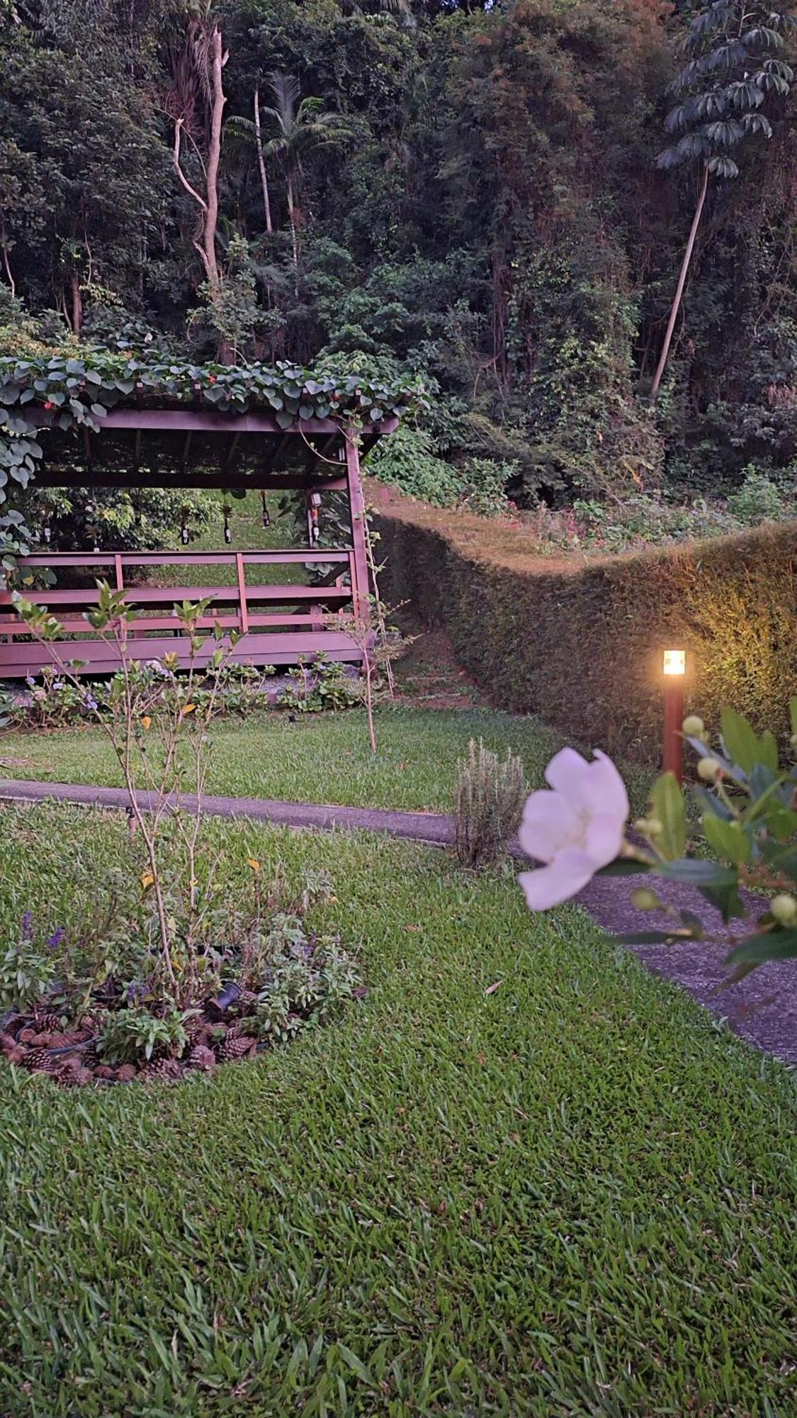 Chales Metanoia Sao Pedro da Serra  Habitación foto